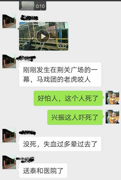 黑龙江某村落惊现老虎出没，村民受伤，事件背后隐藏的细节与反思