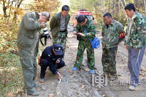 黑龙江一农户家遭野生东北虎撞门，惊险画面引发关注