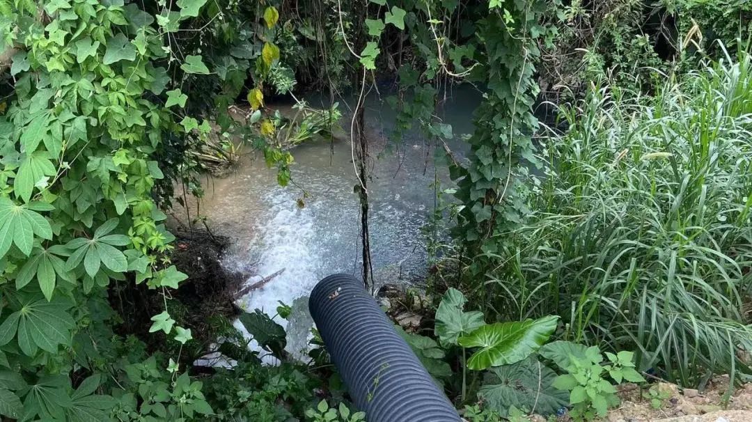 湖南某小区生活污水直排河道，河水变黑，私接管道行为被拆除