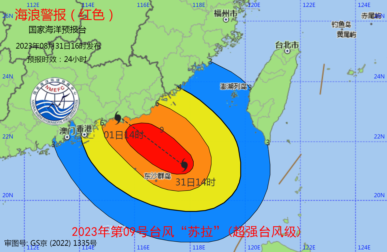 2024年11月19日 第49页