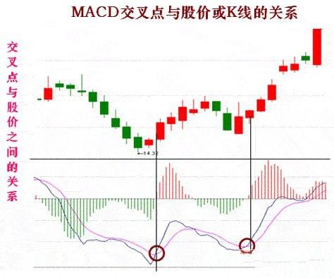 印度股市Sensex指数强势上扬，开盘上涨0.4%报77863.54点——市场走势分析与展望