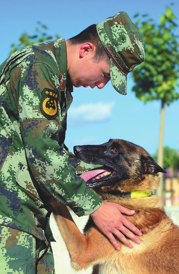 北京公安警犬夺冠，闪耀警犬界奥运会荣光