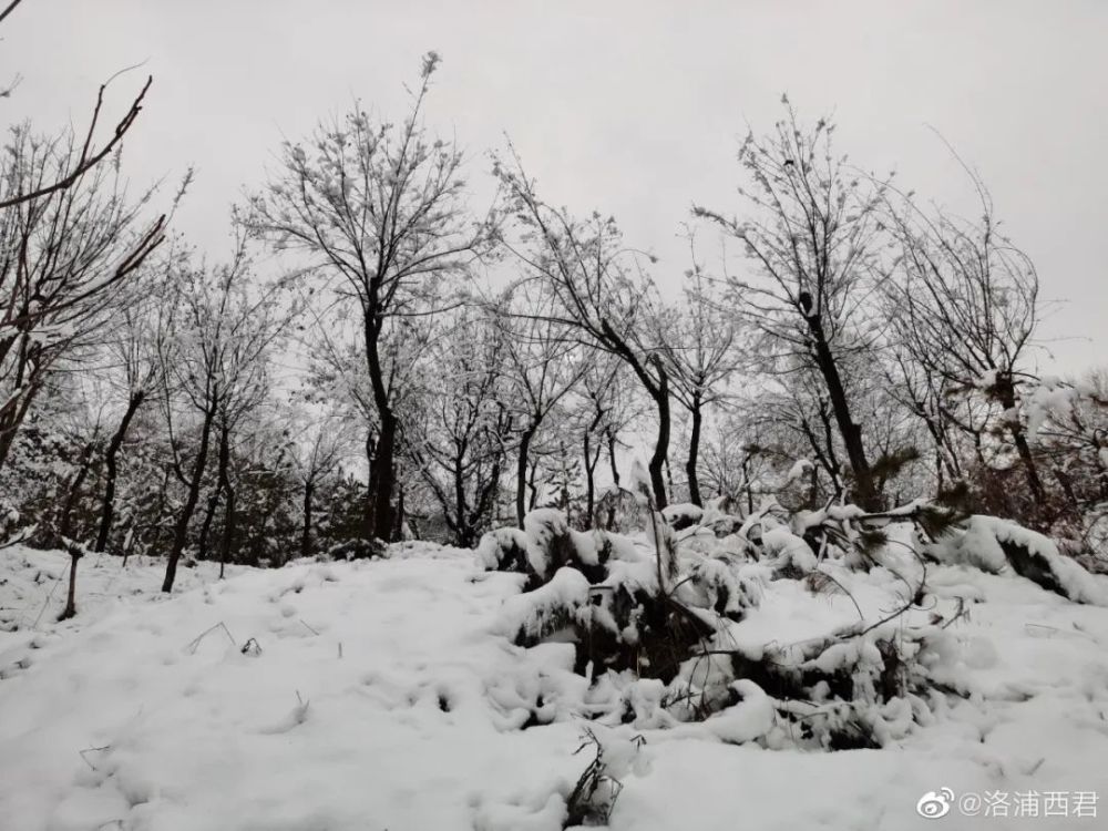 西安秦岭山区段迎来降雪，市民雪中感受冬日氛围