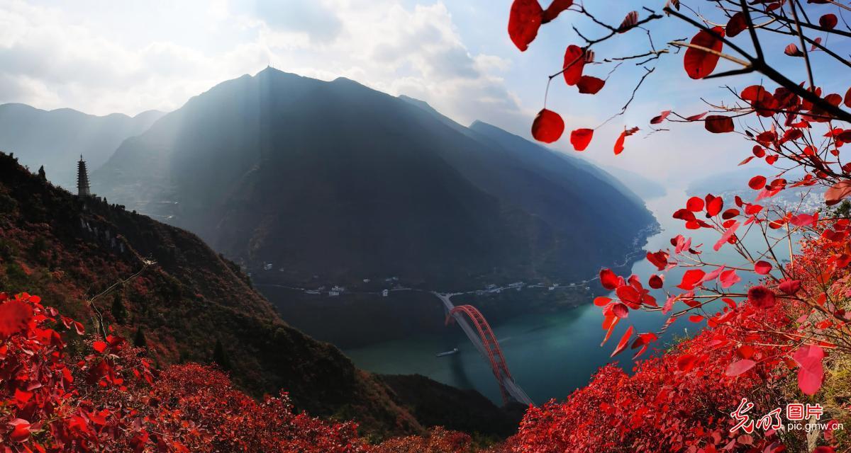 重庆巫山，红叶点缀长江巫峡，层林尽染美如画