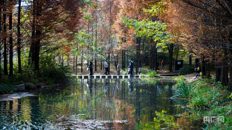 择一座城，邂逅贵州六盘水初冬宜人好风景