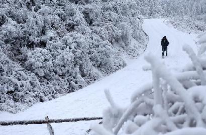 气象预警！雨雪纷飞局地降温超16℃，这些地方即将迎来大雪纷飞！