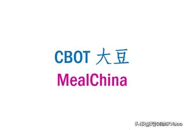 CBOT豆油市场深度解析，跌幅达2%，价格报至42.4美分/磅的背后原因