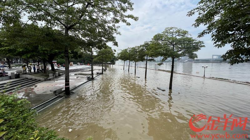 广东惠州海水倒灌地区重返宁静，潮位降至警戒线以下——恢复之路的曙光