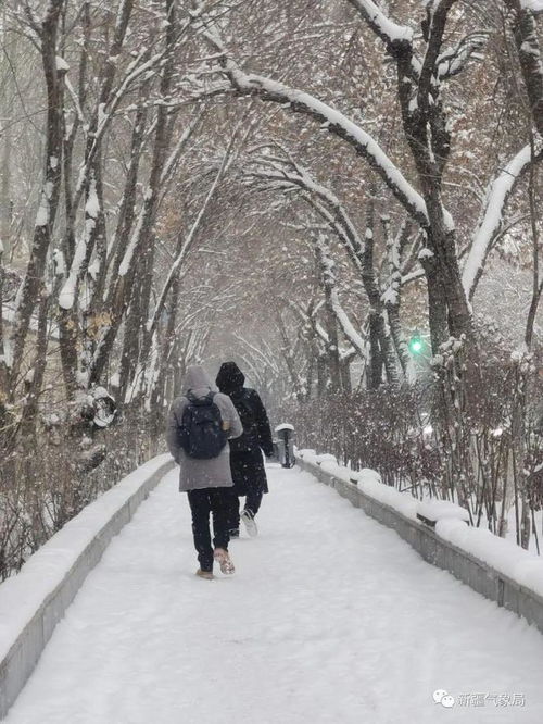 寒潮来袭！山西面临大风+中雨、局部大雪的严峻挑战