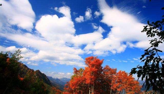 揭秘四川巴中大气田，储量惊人，未来发展潜力无限！