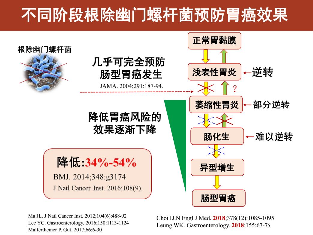 防幽于未然，护胃享健康——幽门螺杆菌预防全攻略