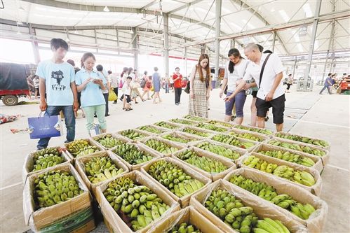 济南市莱芜区农产品出口，占据全市77%，揭秘前10个月出口额飙升背后的故事