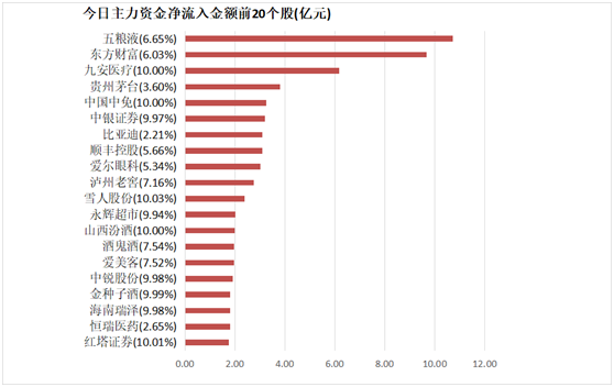 科创板活跃股获主力净流入，市场热度持续升温