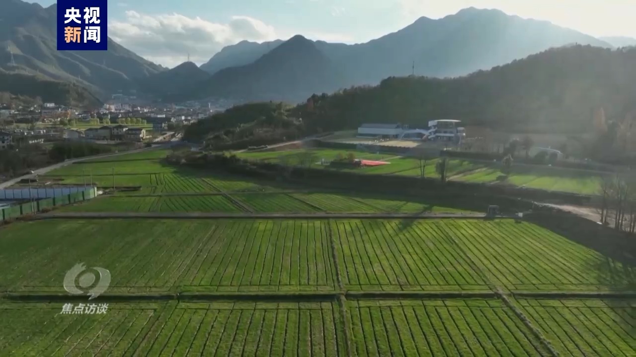 （乡村行·看振兴）江西修水村企联手双向奔富振兴路