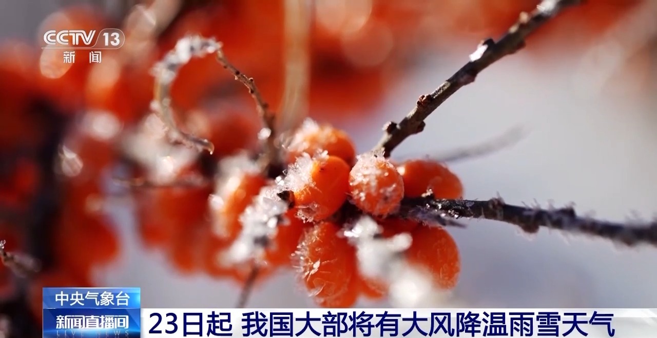 降温12℃以上，我国大部将有大风降温雨雪天气，影响及应对措施全解析